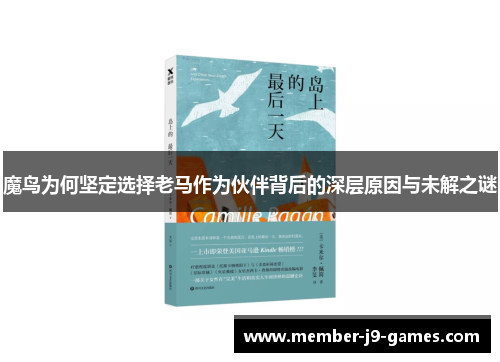 魔鸟为何坚定选择老马作为伙伴背后的深层原因与未解之谜