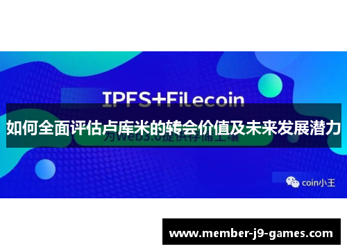 如何全面评估卢库米的转会价值及未来发展潜力